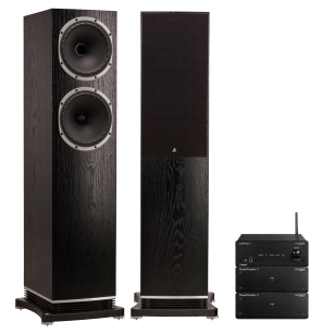 FYNE AUDIO F502 Fornir + Tangent PowerAmpster II + PreAmp II DUAL MONO 2x 200W