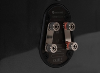 Monitor Audio Silver 100 7G Limited Edition - Kolumna podstawkowa Carbon Black Metallic - 6