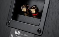 ELAC Debut 3.0 B6.3 Kolumna podstawkowa + EverSolo PLAY Wzmacniacz ALL-IN-ONE - 6