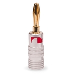 Wtyk głośnikowy BANAN Nakamichi Złoty - 4